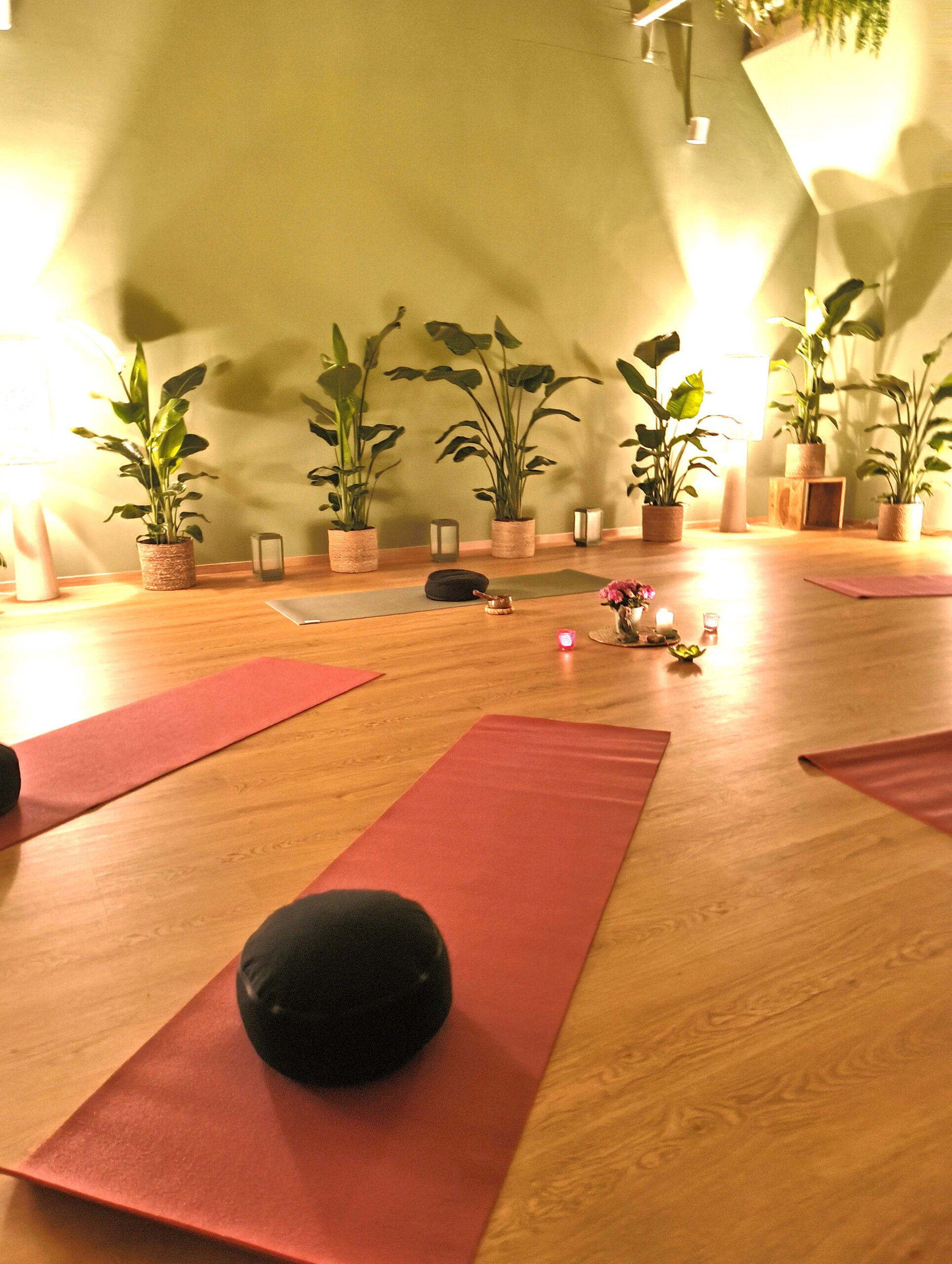 3 Matten am Boden für Yoga Hintergrund Pflanzen und Beleuchtung